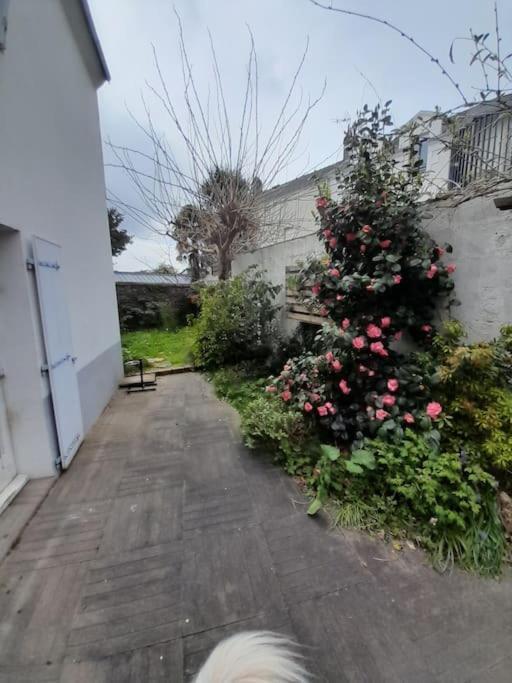 L'Octroi Nantes-6 Pers.-Jardin-Proche Tt Comm. Villa Екстериор снимка